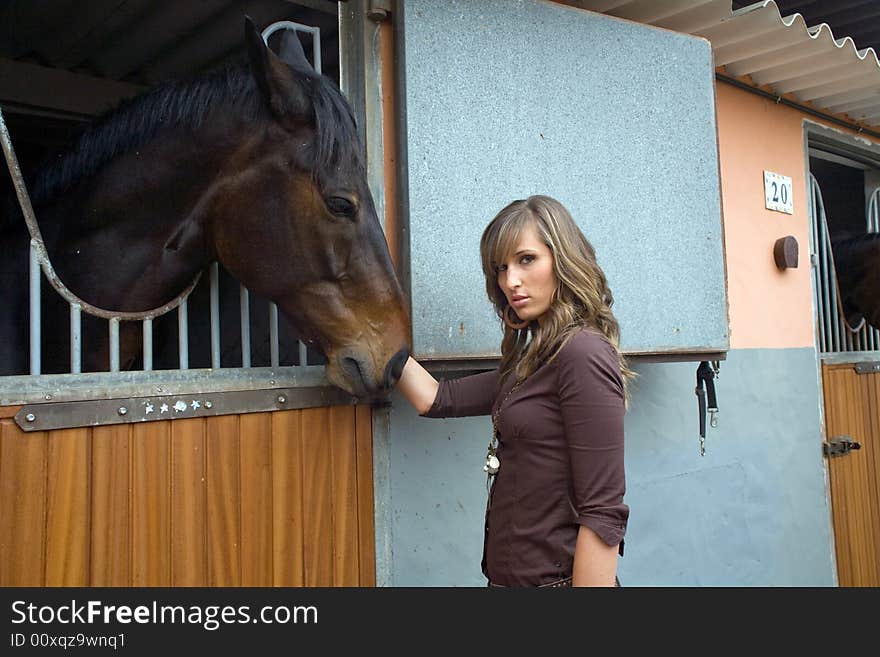 Sexy brunette women with a horse. Sexy brunette women with a horse