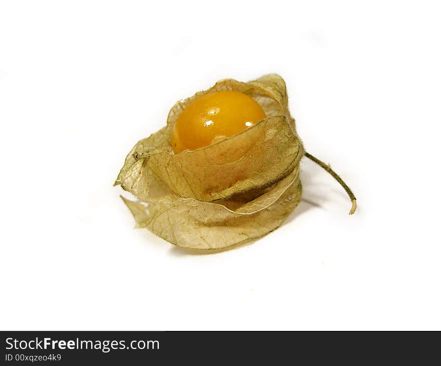 Physalis Fruit