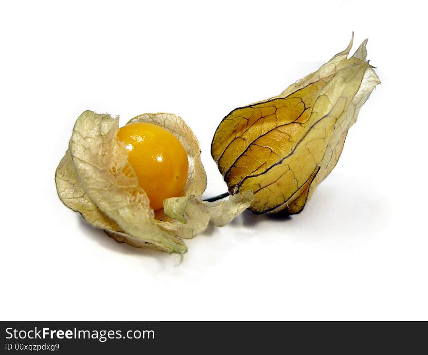 Physalis Fruits