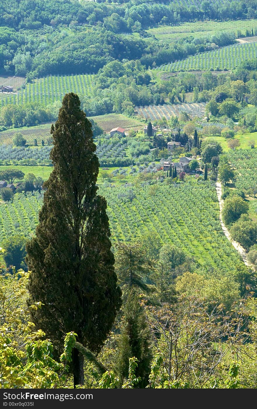 Rural countryside landscape in Tuscany region of Italy. Rural countryside landscape in Tuscany region of Italy.