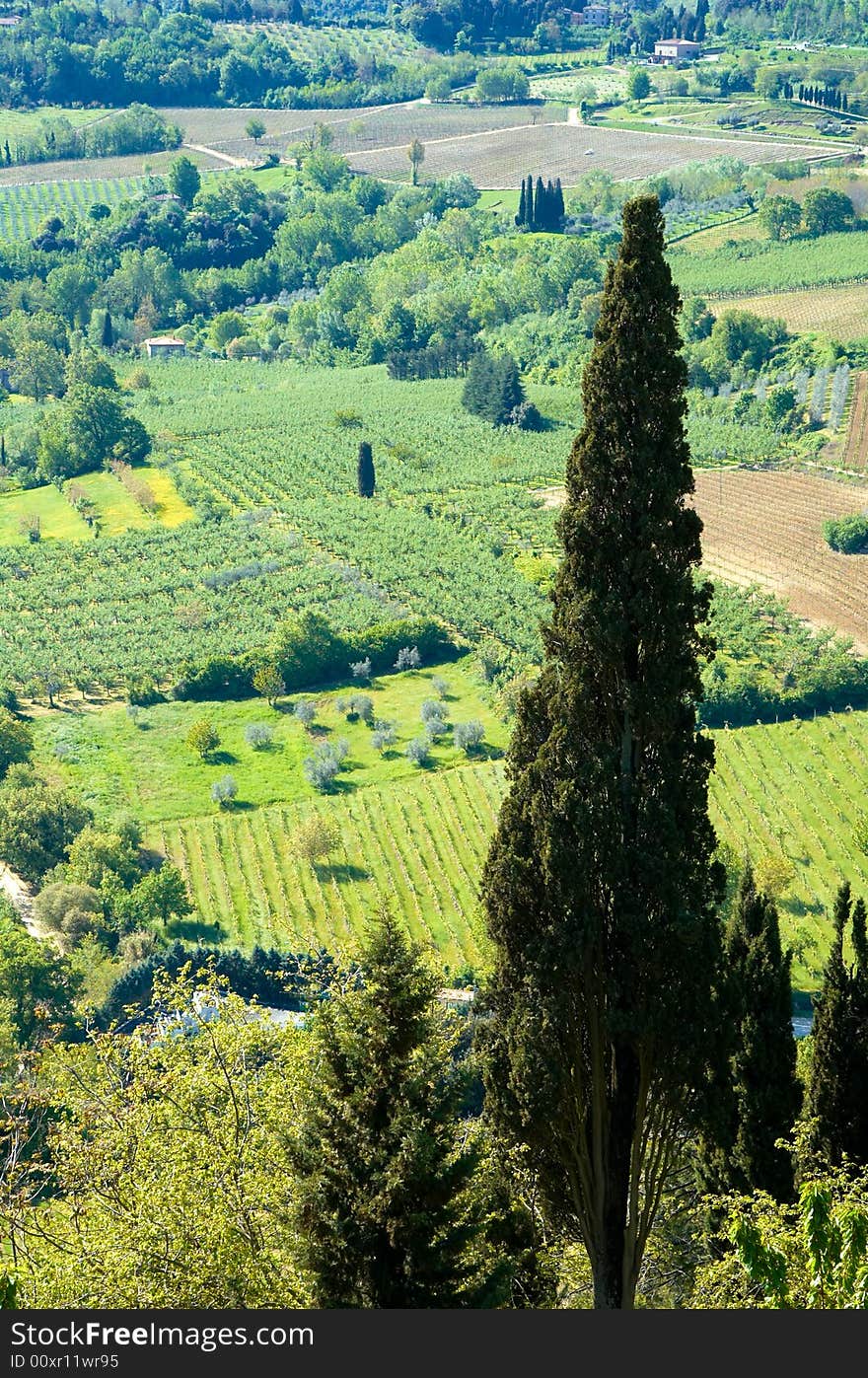 Rural countryside landscape in Tuscany region of Italy. Rural countryside landscape in Tuscany region of Italy.