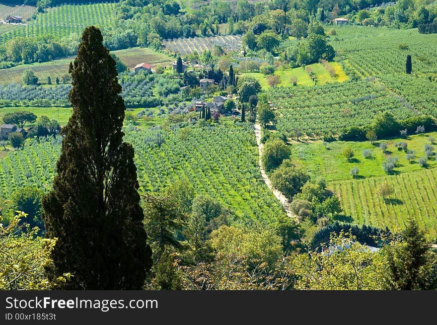 Rural countryside landscape in Tuscany region of Italy. Rural countryside landscape in Tuscany region of Italy.