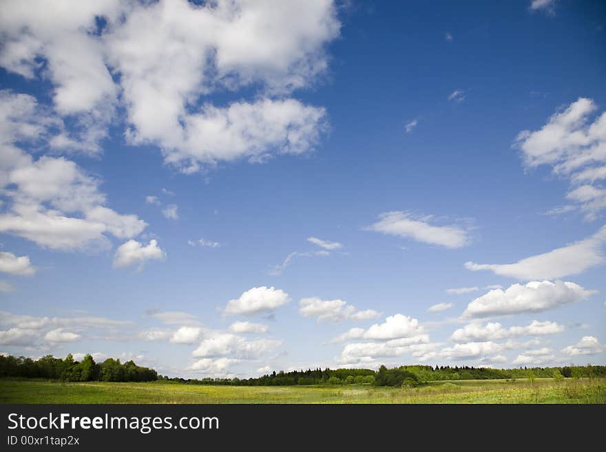 Spring Meadow. Forest and Blue Sky With Clouds. Spring Meadow. Forest and Blue Sky With Clouds.