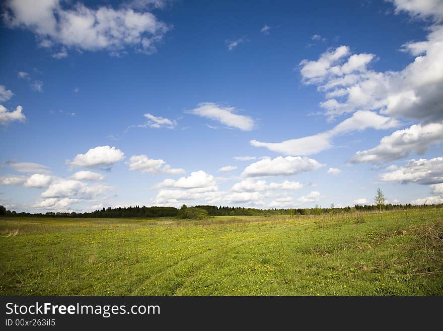 Green Field and Blue Sky. Green Field and Blue Sky