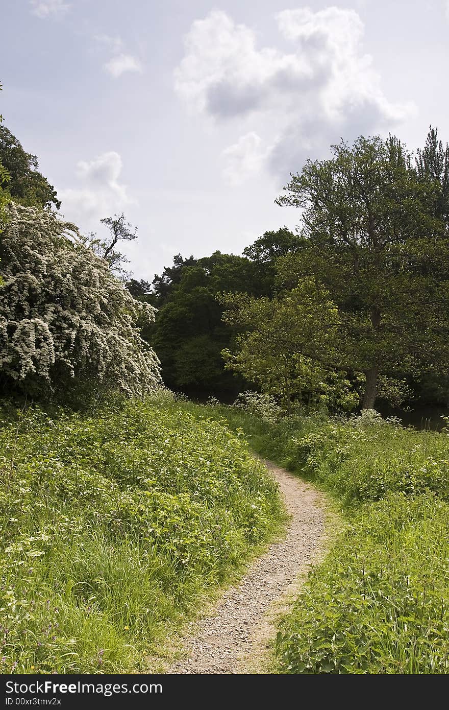 Clouded path