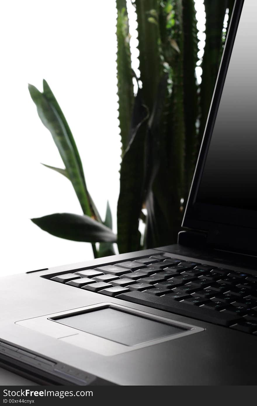 Business healthy still-life isolated over white (focus on keyboard). Business healthy still-life isolated over white (focus on keyboard).