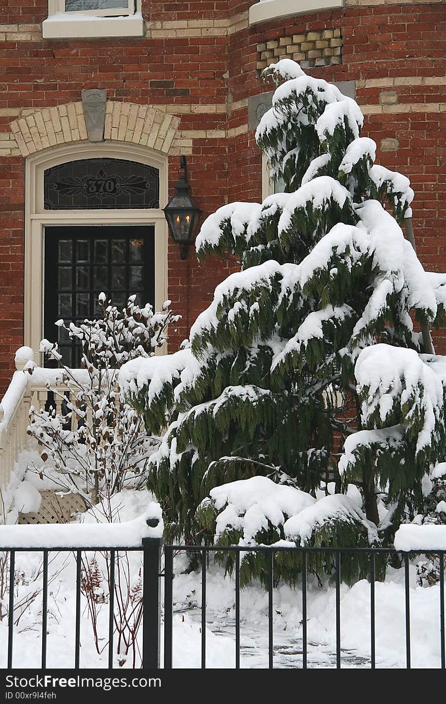 Winter snowfall in Toronto 2008