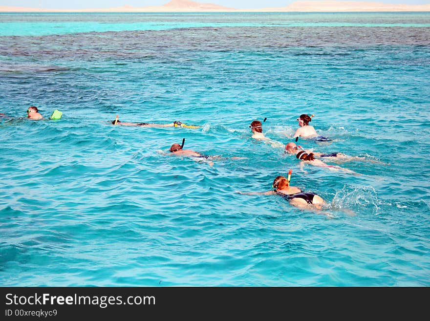 Snorkeling in the Red sea