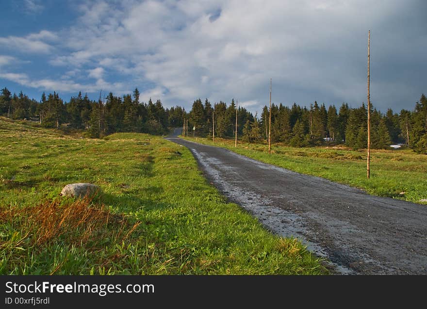 Spring forest landscape at sunset