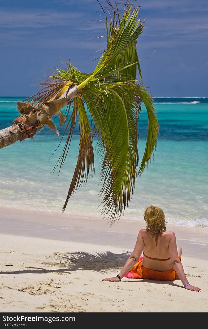 Girl and palm tree on the Bavaro Beach, Dominican republic