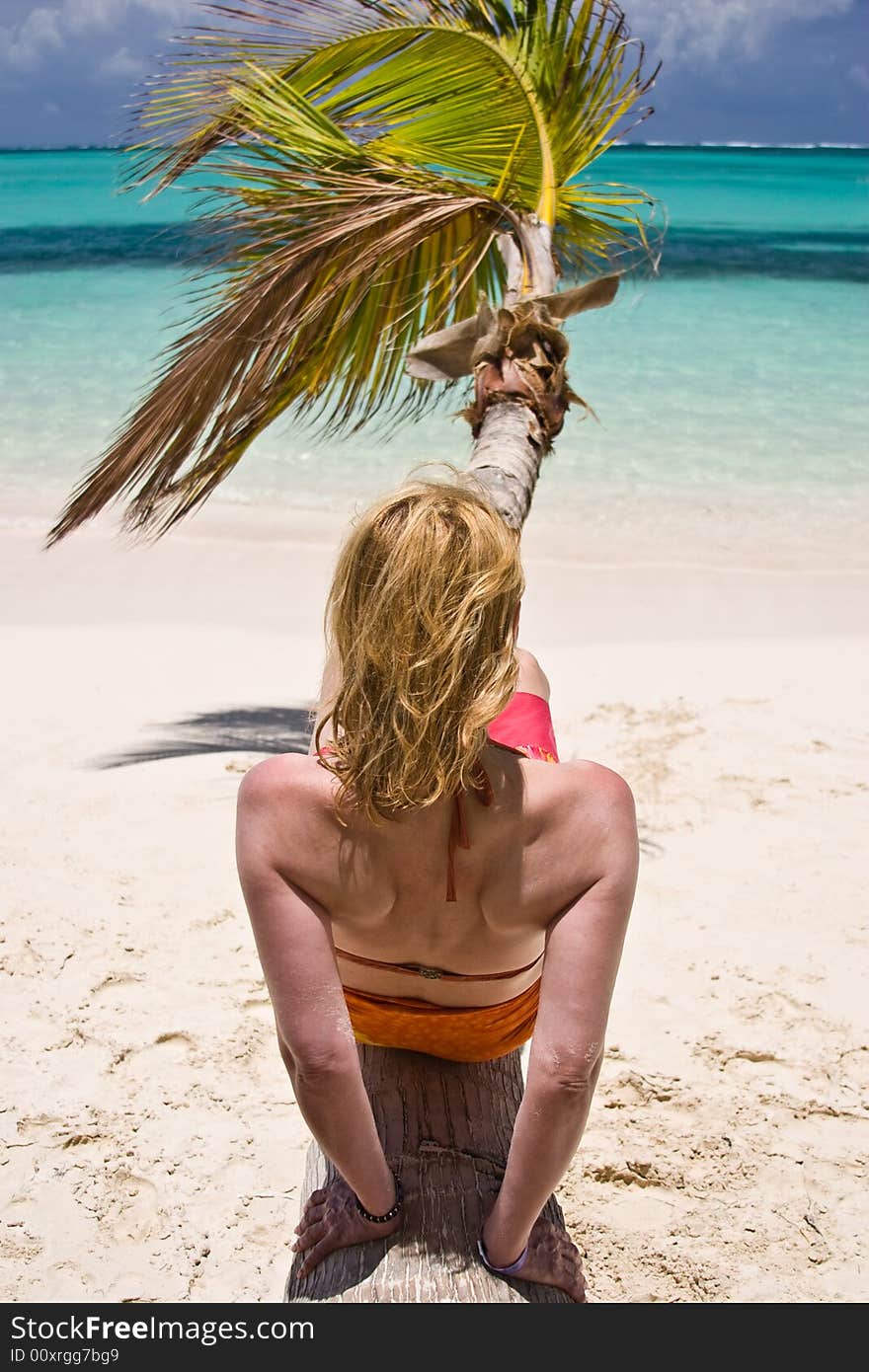 Girl and palm tree on the Bavaro Beach, Dominican republic