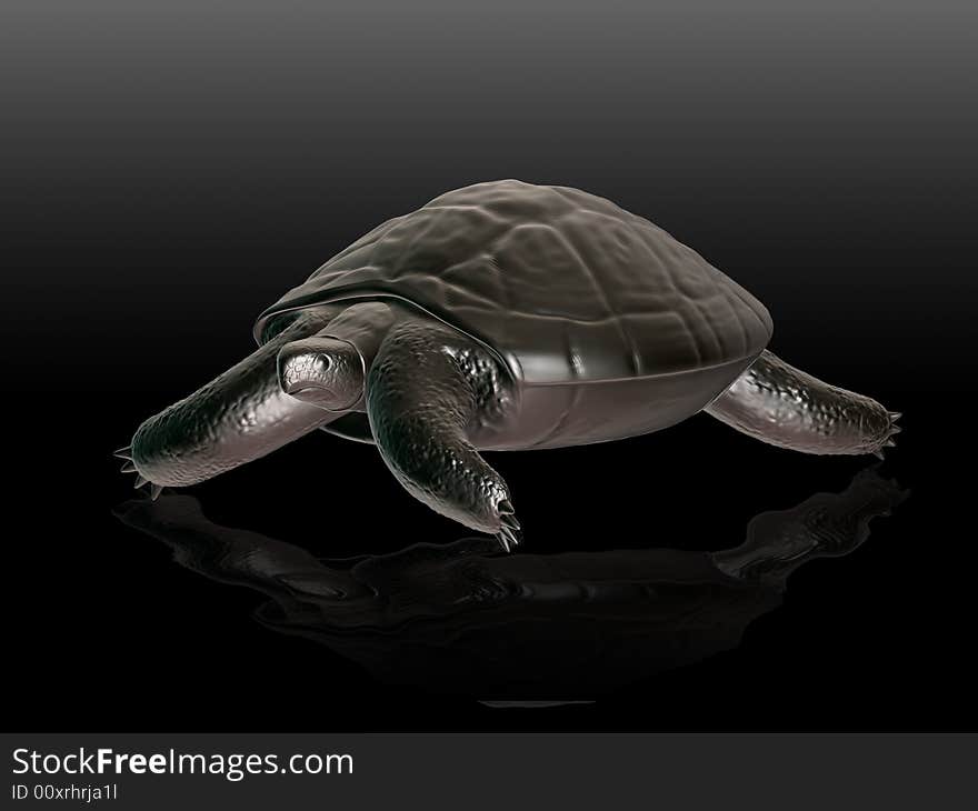 Turtle