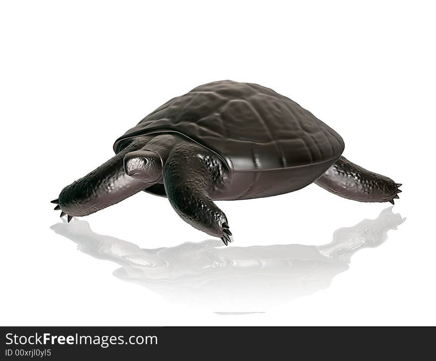 Reptile turtle, desert animal, 3d render