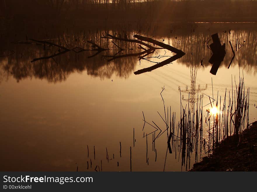 On coast of lake - in the morning