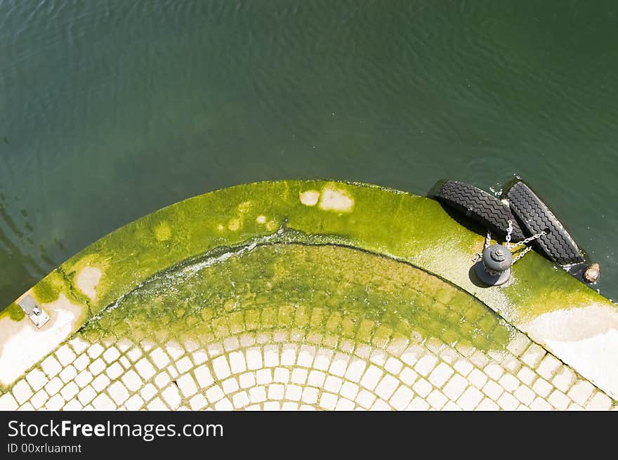 A mossy shoreside with two tires on chains attached to a cleat with a coconut floating beside it