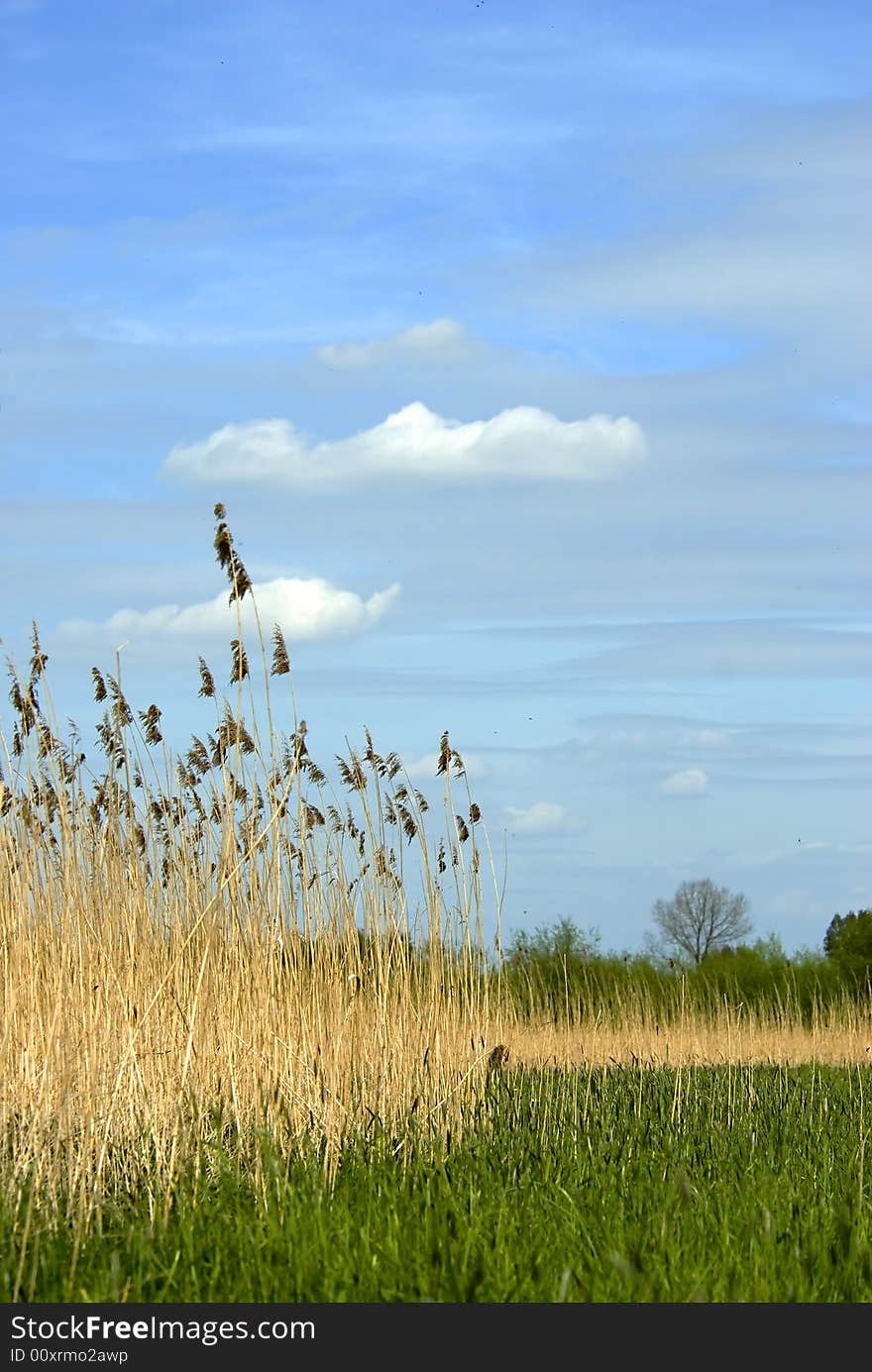 Farmland