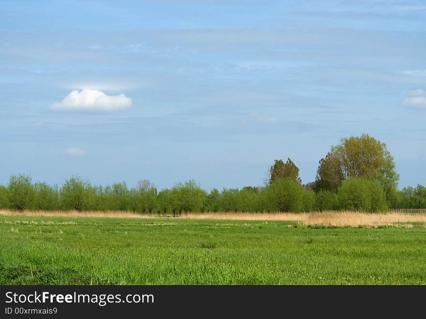 Lush green meadow with blue cloudy sky.