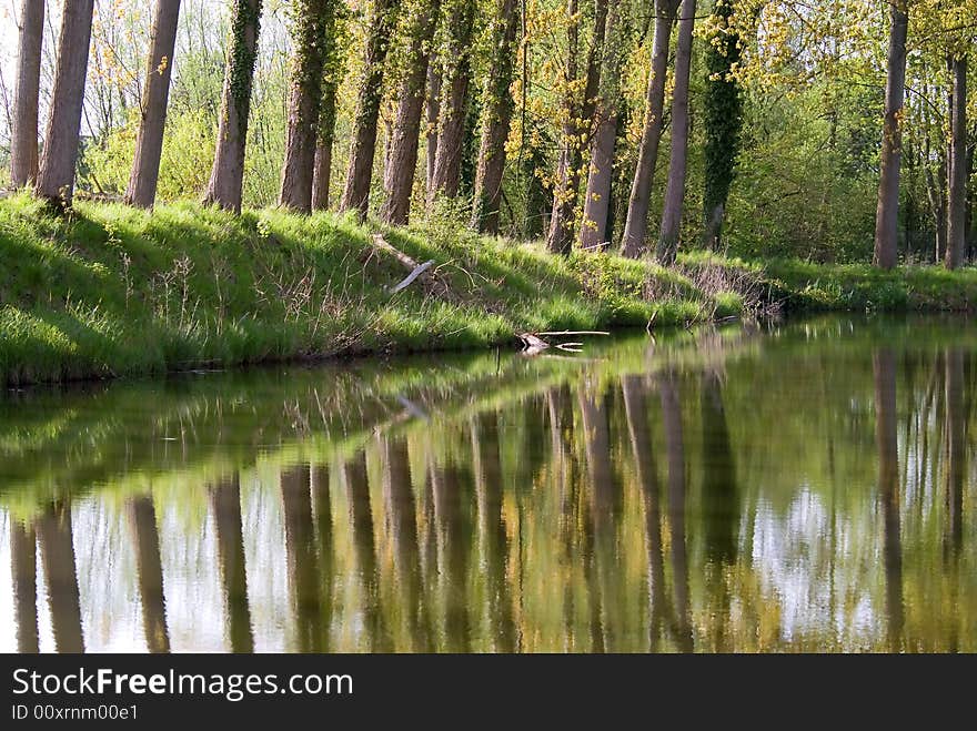 Reflection of trees in water.