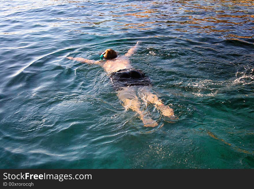 Man  snorkeling in the Red sea. Man  snorkeling in the Red sea