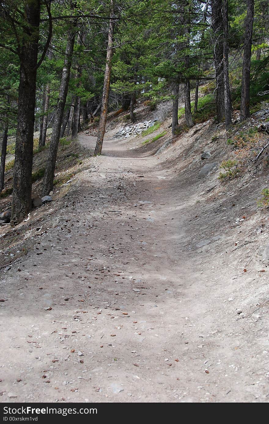 Tunnel Mountain Hiking Trail in Banff