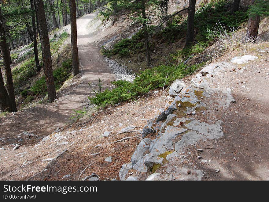 Tunnel Mountain Hiking Trail in Banff