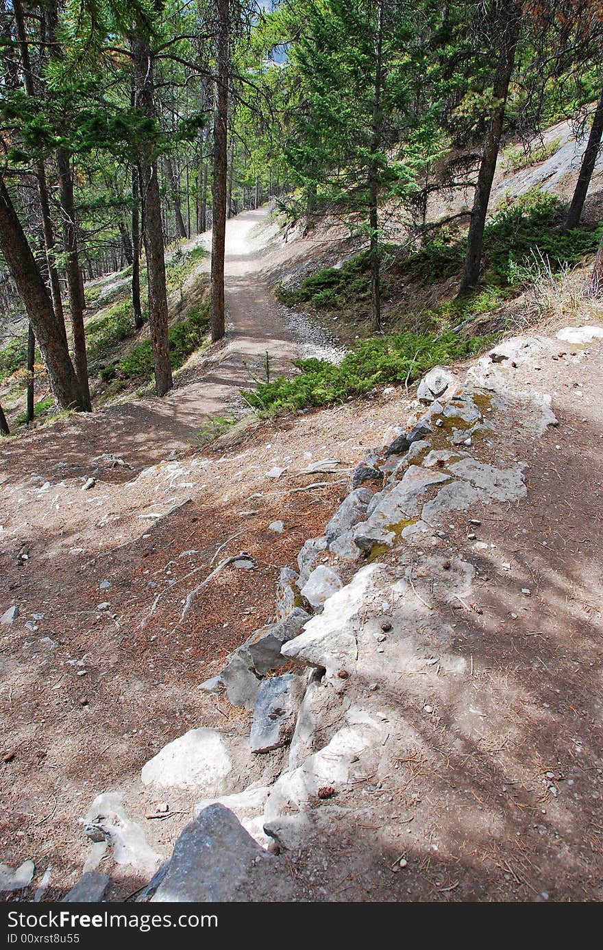 Tunnel Mountain Hiking Trail in Banff