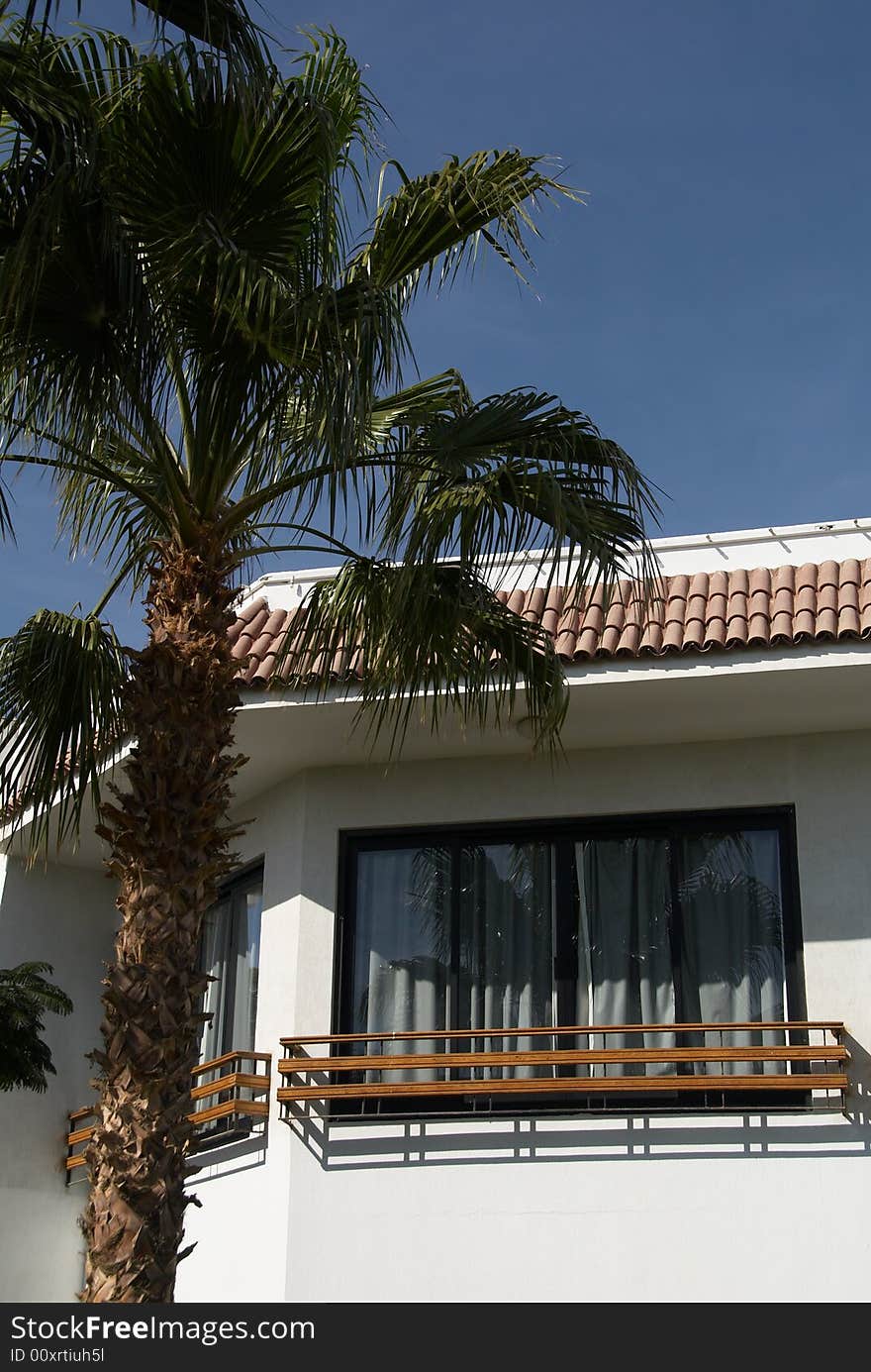 Tropical hotel window and palm tree