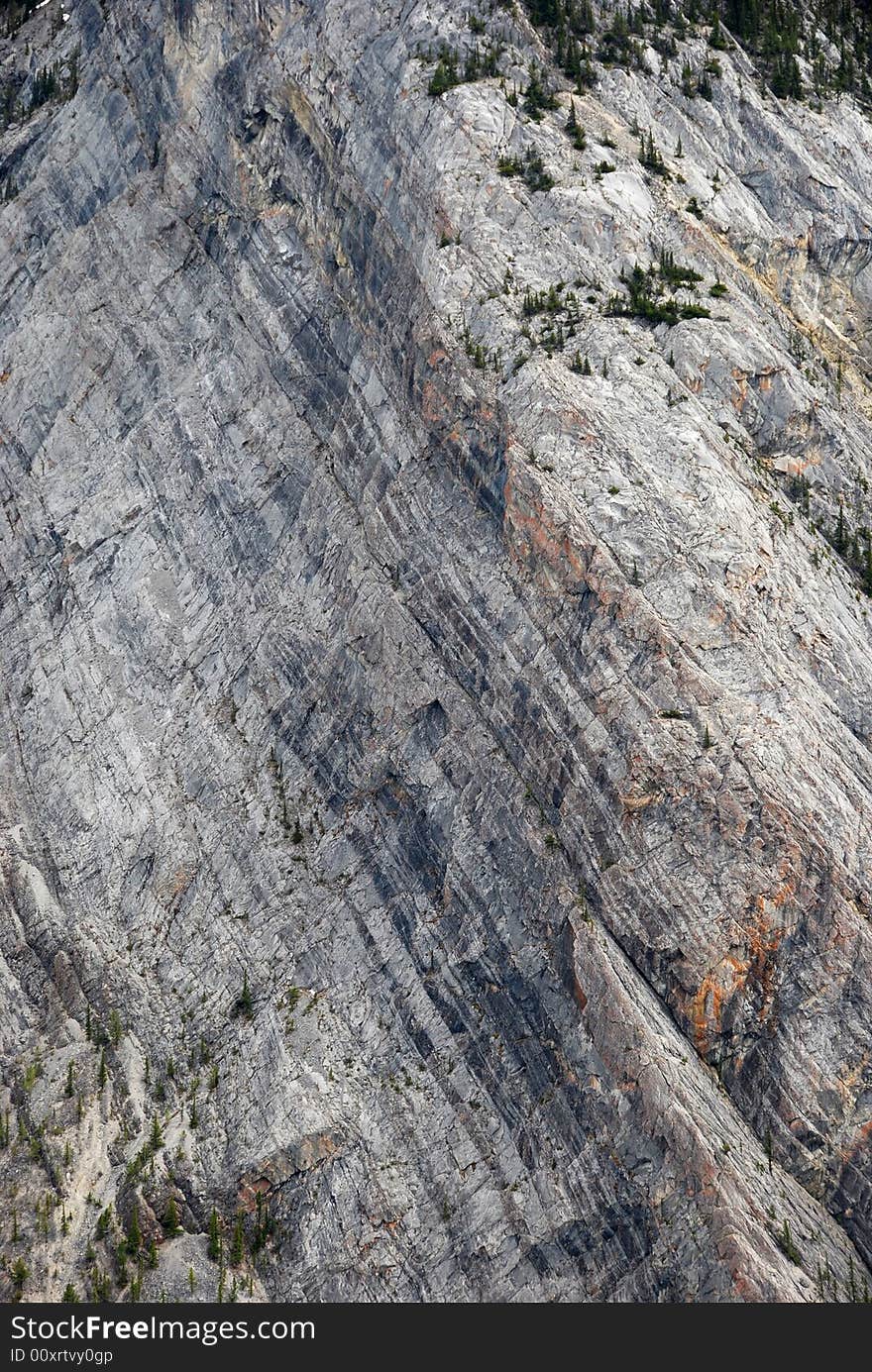 Mineral patterns on the Mountain Rundle