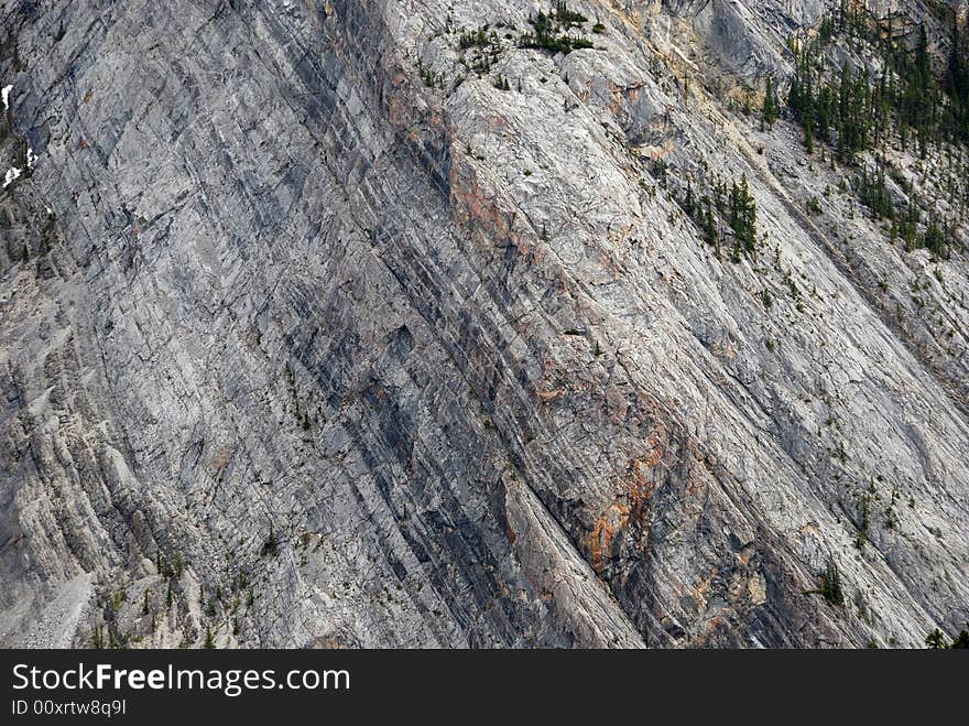 Mineral patterns on the Mountain Rundle