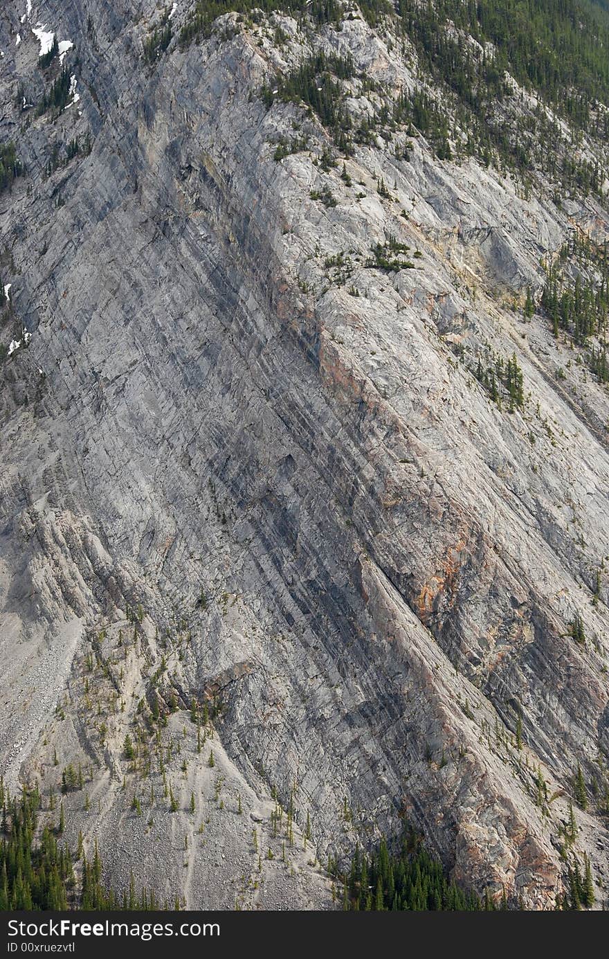 Mineral patterns on the Mountain Rundle