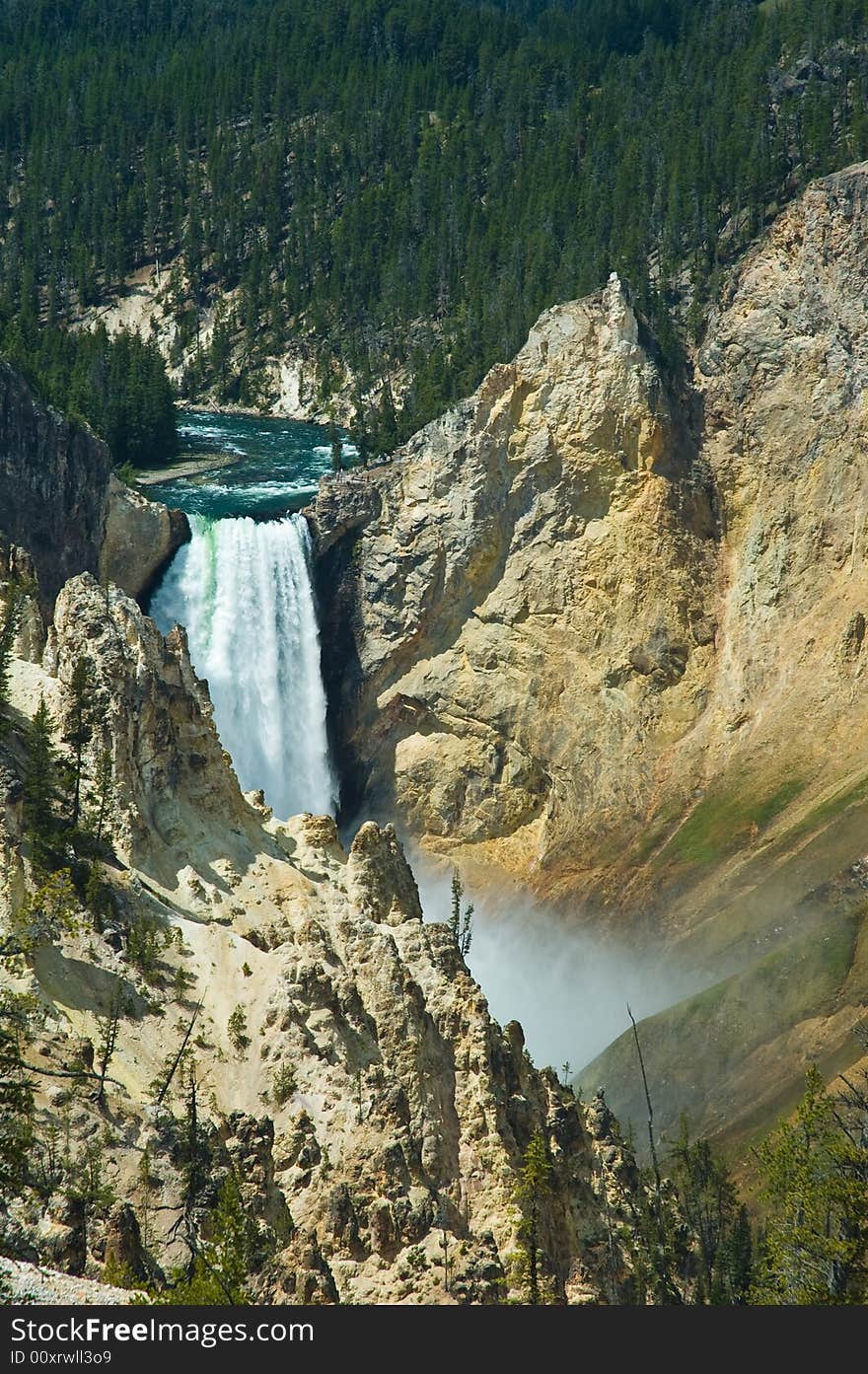 Lower Yellowstone Falls,  Yellowstone National Park, Wyoming