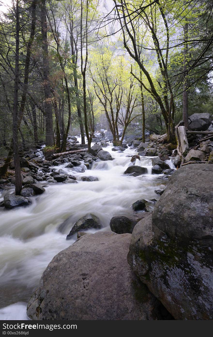 Secluded Cascade in Yosemite in Spring