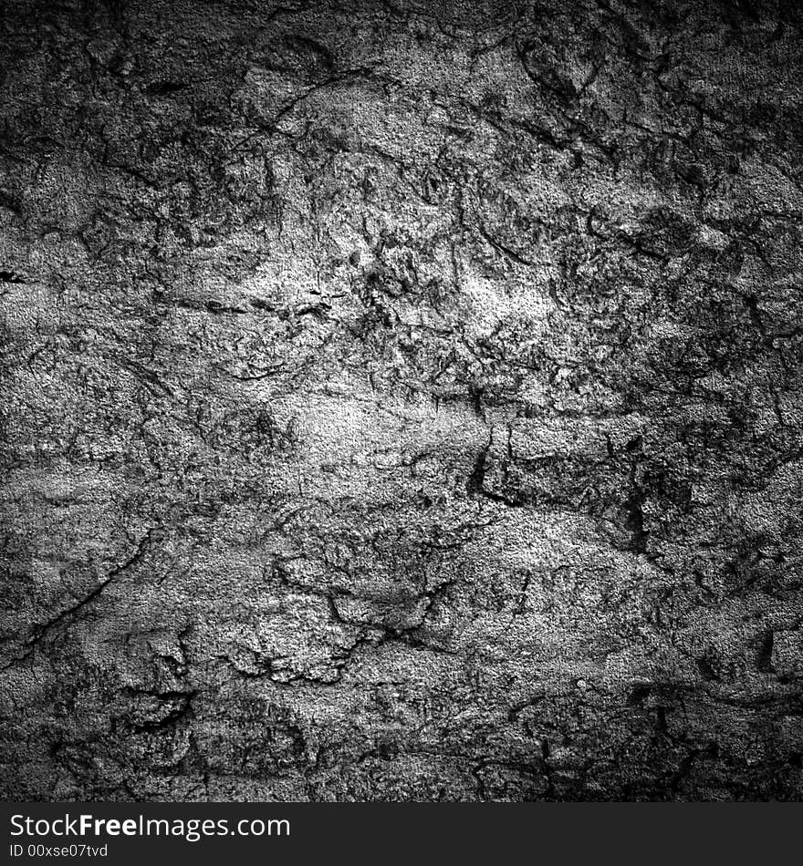 Old grungy bark texture with border