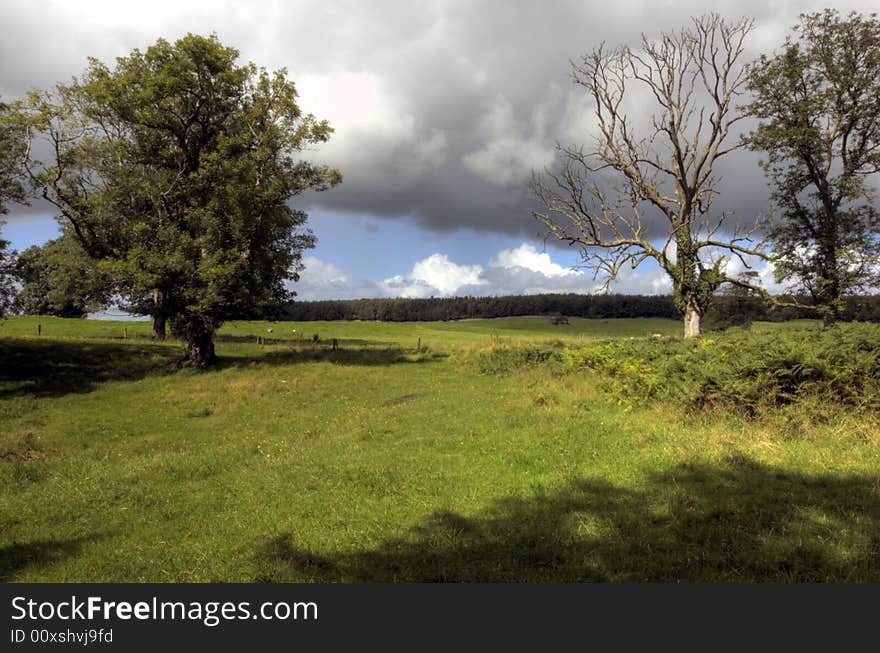 Field in Summer on a cloudy day. Field in Summer on a cloudy day