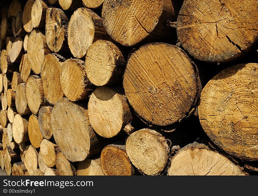 Woodstack background of big stacked logs