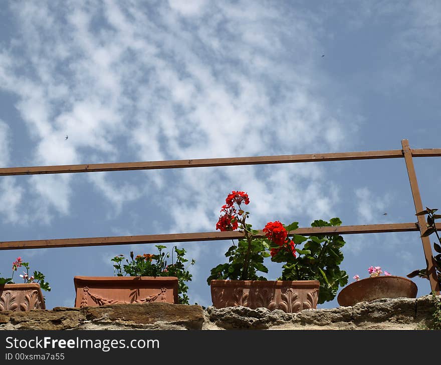 A singolar shot of some pots of flowers clear-cut in a blue and cloudy sky. A singolar shot of some pots of flowers clear-cut in a blue and cloudy sky