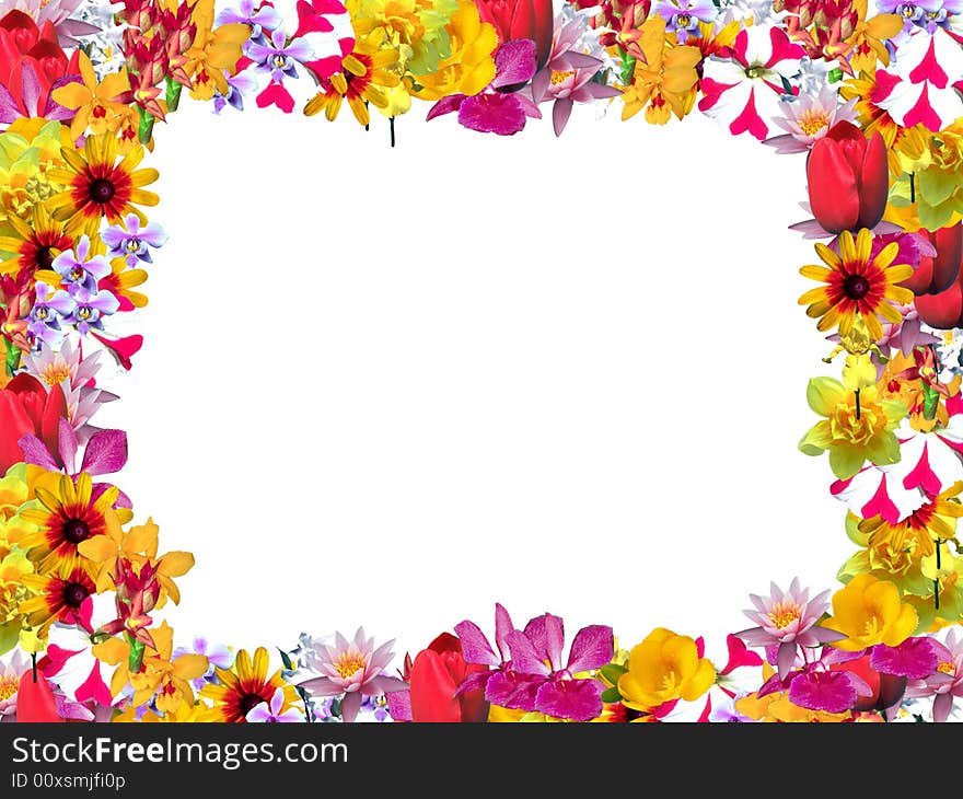 Beautiful frame with colored flowers. Beautiful frame with colored flowers