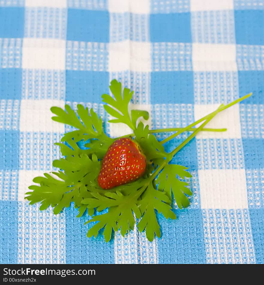 Strawberry and plant on fabric background