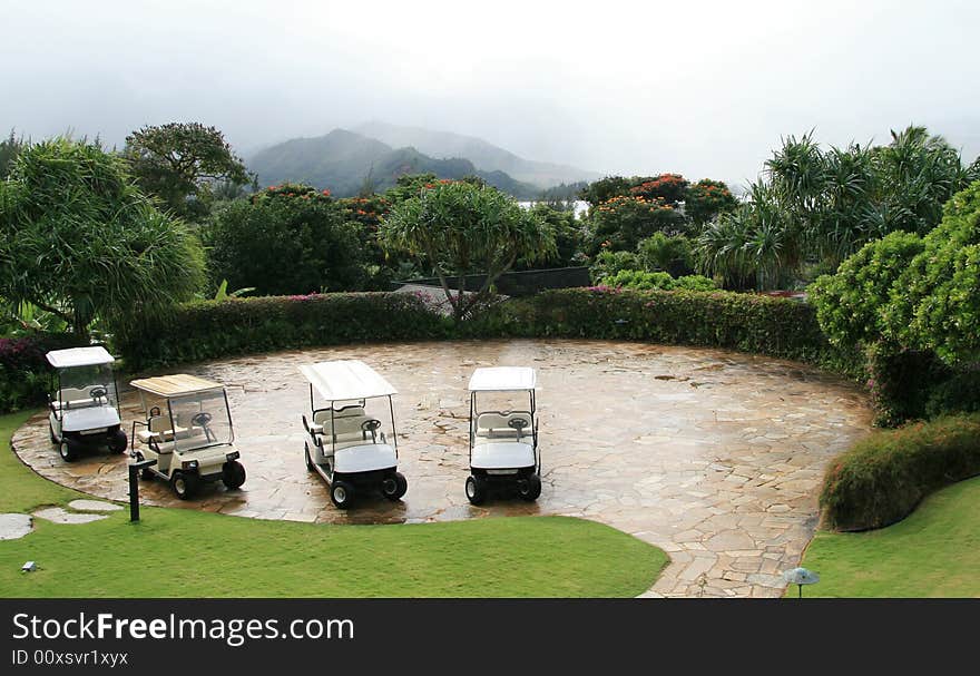 Golf carts in front of resort