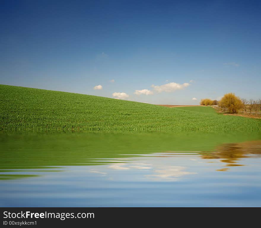 An image of a green meadow and blue sky. An image of a green meadow and blue sky