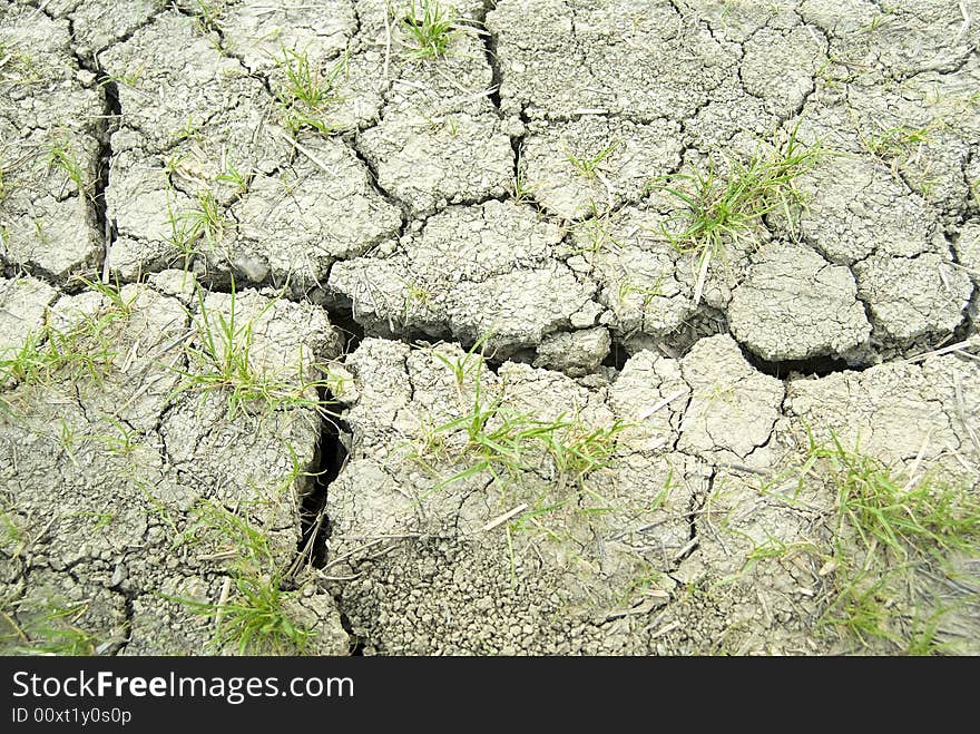 Cracks in an arid land. Cracks in an arid land