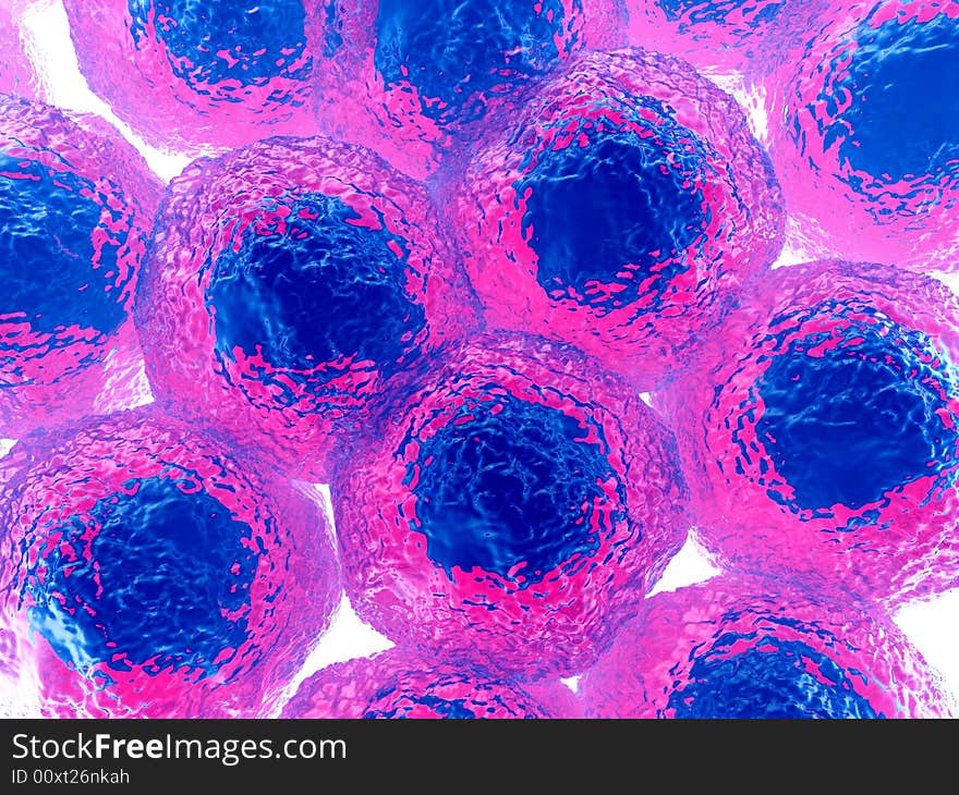 An image of some cells . It would make a interesting medical or background image.