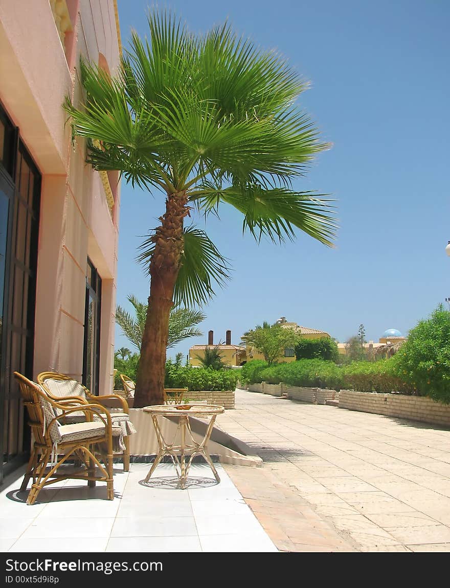 Chairs and table under Palm tree near the hotel