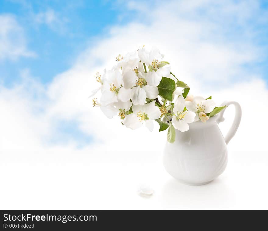 White jug with a branch of an apple tree on a background of the sky