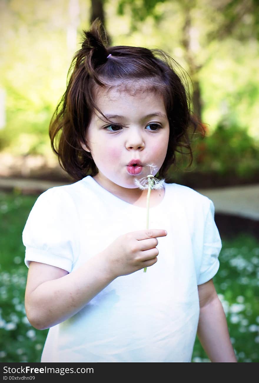 Cute little girl blowing on a dandelion and making a wish. Vertically framed shot. Cute little girl blowing on a dandelion and making a wish. Vertically framed shot.