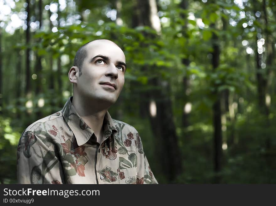 Young Man In The Summer Forest. Young Man In The Summer Forest