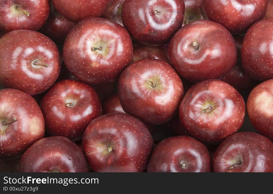 Red Fresh Picked Apples Fill the Frame. Red Fresh Picked Apples Fill the Frame