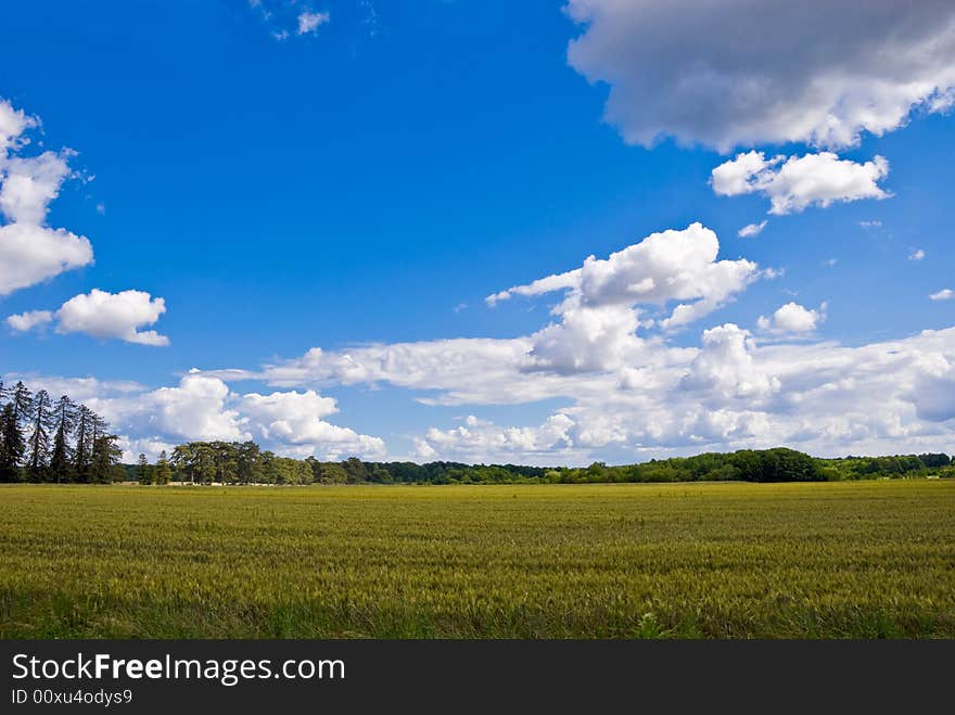 Clouds Over Field