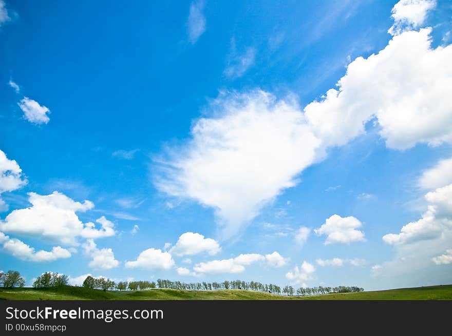 Summer landscape