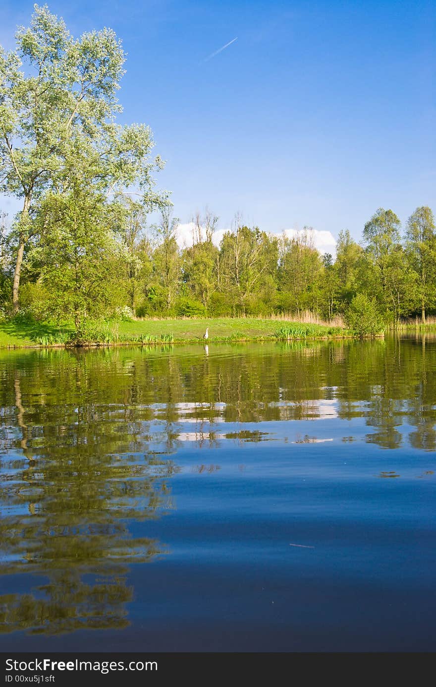 Beautiful lake, view from the water. Duck on the bank.